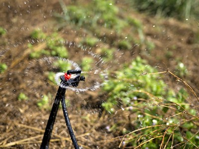 .:: assistencia_tecnica_e_vendas_de_pecas_13741_1_pt.jpg ::.