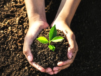 .:: meio_ambiente_33470_1_pt.jpg ::.